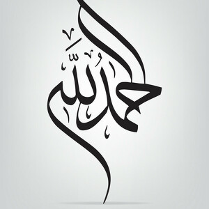 Fundraising Page: Malak Musleh